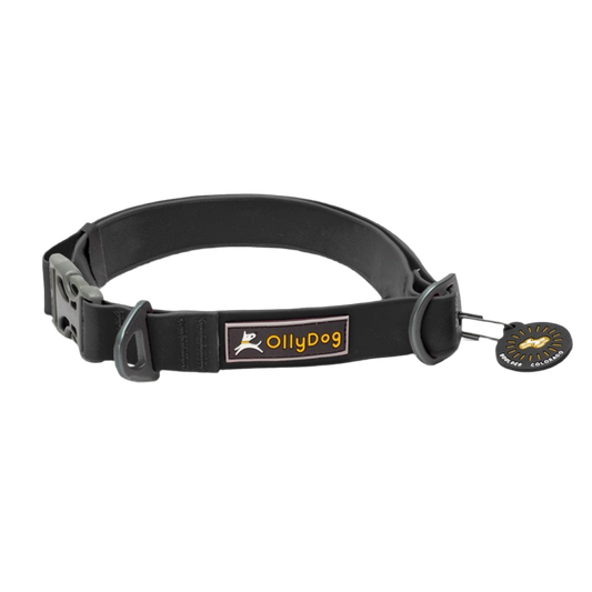 Tilden Waterproof Collar