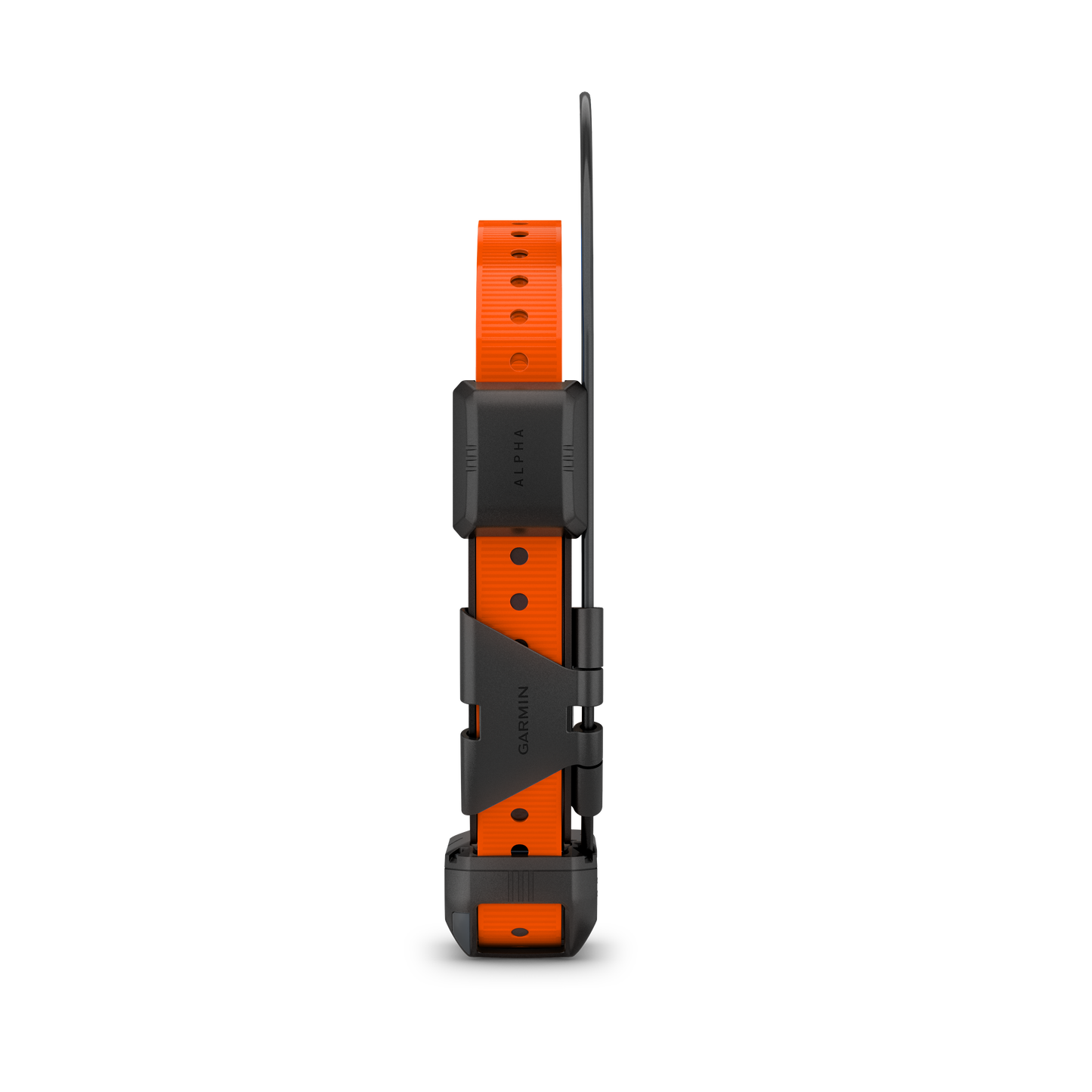 Garmin Alpha TT 25 Dog Collar