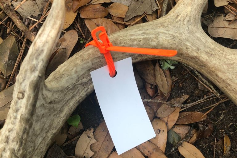 Blank Tags and Plastic Ties