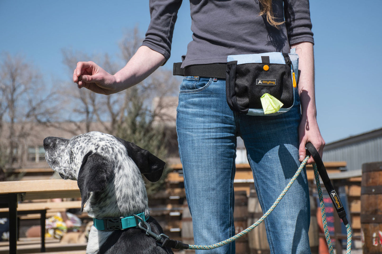 Back Country Day Bag | Accessory Hip Pack