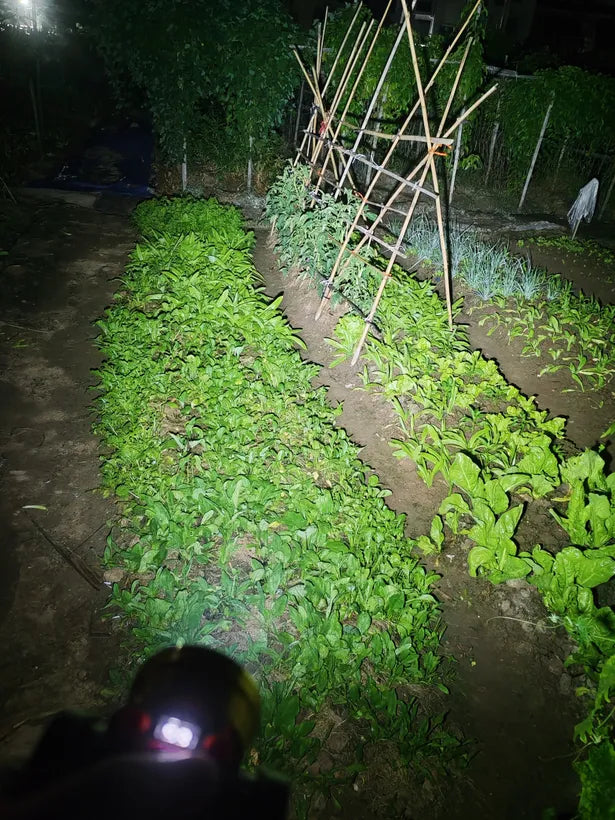 The Tracker - LED Headlamp