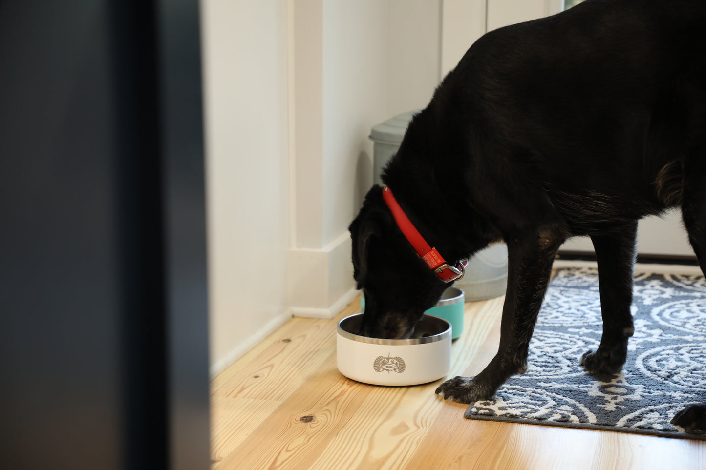 Non-Tipping Dog Bowl