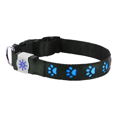 Light Up Dog Collar