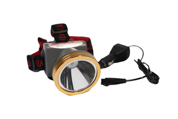 The Display - 5 Watt Headlamp