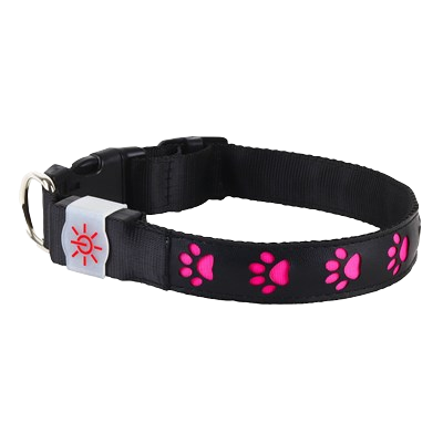 Light Up Dog Collar