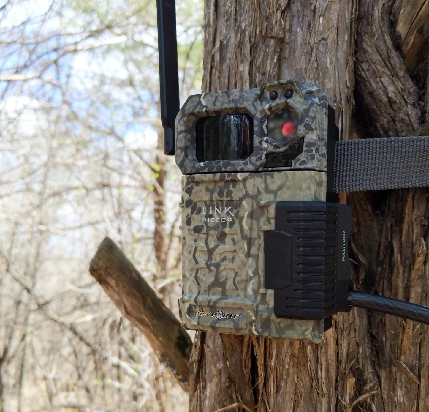 Link-Micro on Tree