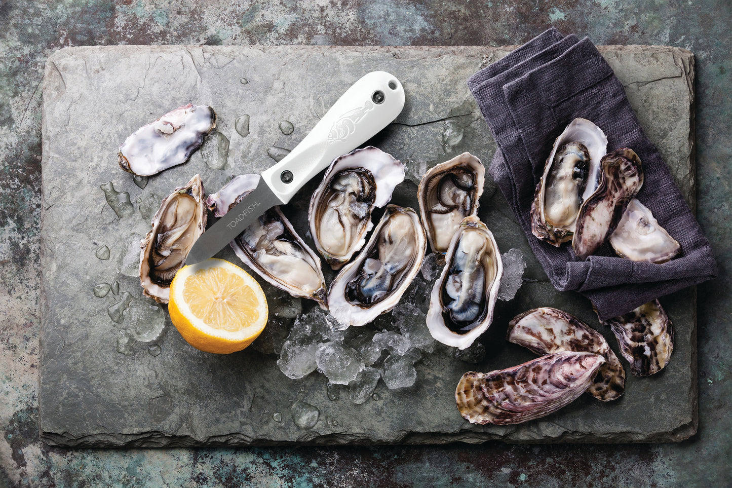 Professional Edition Oyster Shucker