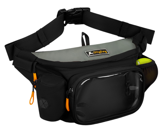 Trailblazer Pack with Bouncy Ball | Adventure Waist Pack