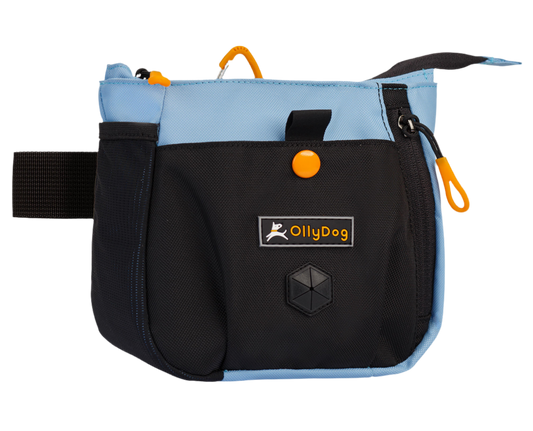 Back Country Day Bag | Accessory Hip Pack