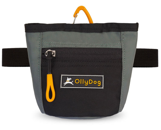 Goodie Treat Bag | Dog Treat Bag