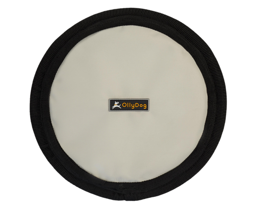 Flyer Disc | Frisbee Toy