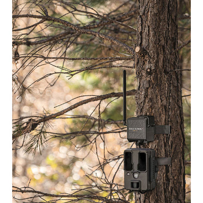 Spypoint Cell-Link with Trail Cam