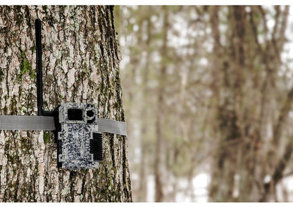 Spypoint Link-Micro strapped to a tree