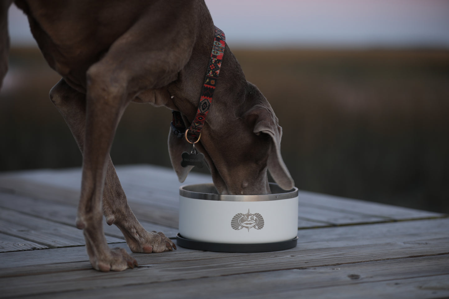 Non-Tipping Dog Bowl