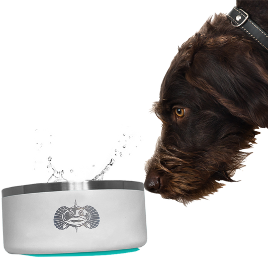 Non-Tipping Dog Bowl